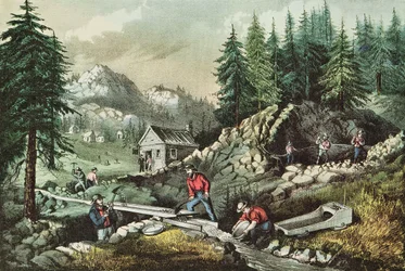 Guldbrytning i Kalifornien, 1871